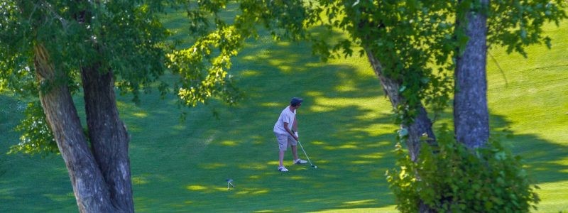 Golfer