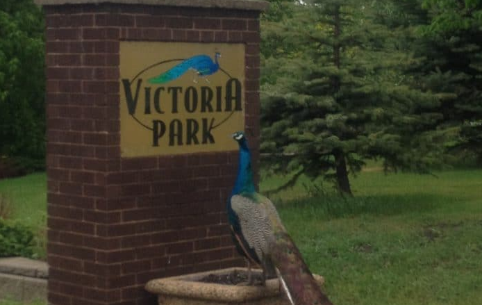 Victoria Park